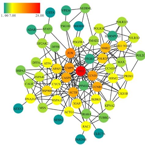 Protein Protein Interaction Ppi Network For The Predicted Target