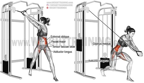 Cable wood chop exercise instructions and video | Weight Training Guide