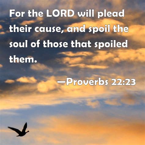 Proverbs 22:23 For the LORD will plead their cause, and spoil the soul ...