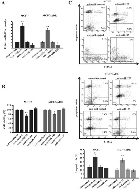 Effect Of Mir 195 Expression On The Regulation Of Breast Cancer Cell