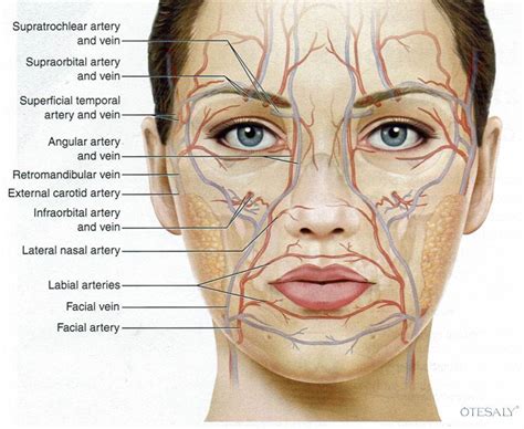 Zusammenstellung Krasser Facials Telegraph