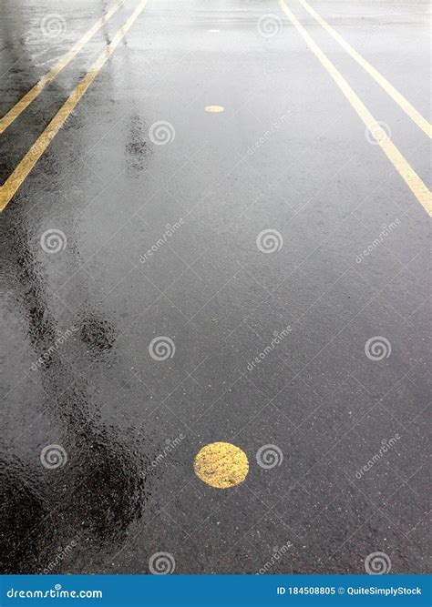 Department of Motor Vehicles DMV Motorcycle Auto Car Driving Test Exam