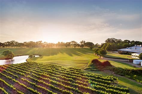 11 Swan Valley Wineries To Sip Through This Weekend | URBAN LIST PERTH