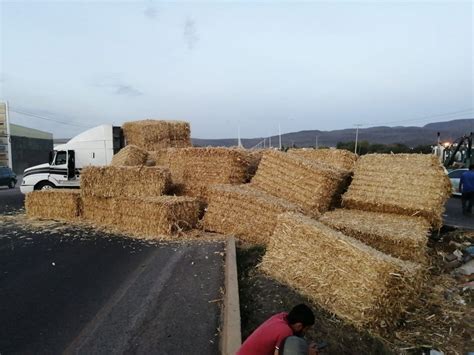 El remolque de un tractocamión que cargaba pacas de maíz se voltea