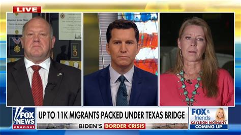 Homan Biden Administration Caused Border Surge Fox News Video