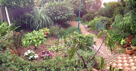 Garden Amateur Not Doing The Rounds