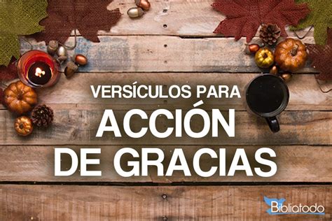 Vers Culos De La Biblia Sobre Acci N De Gracias