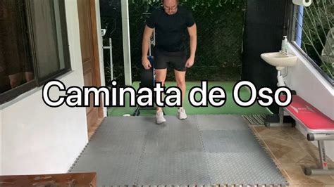 Caminata De Oso YouTube