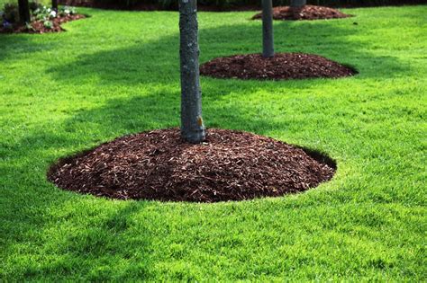 Ramos Landscaping Professional Mulching Services