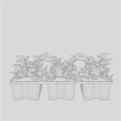 3D model English Ivy 3D Model VR / AR / low-poly | CGTrader