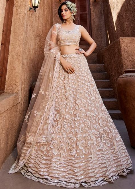 Nude Pink Embellished Net Lehenga Choli Lg
