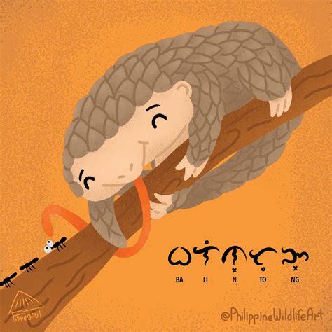 Palawan Pangolin - Philippine Wildlife Art