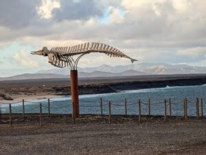 10 Lugares Que Ver En El Cotillo Fuerteventura Mapa