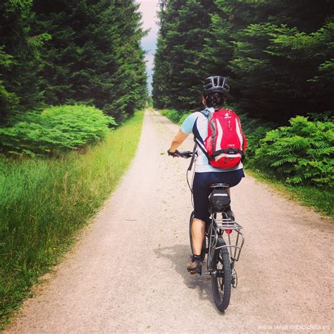 Ruta En Bicicleta Por La Selva Negra Galería De Fotos