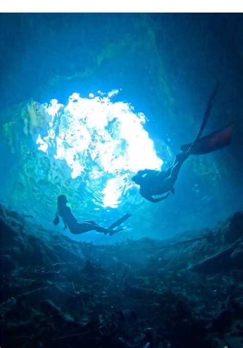 POV: you’re our camera tripod at the | Coralia Dives 🧜‍♀️ (@coraliadives)