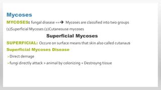 Superficial Mycoses Disease | PPT