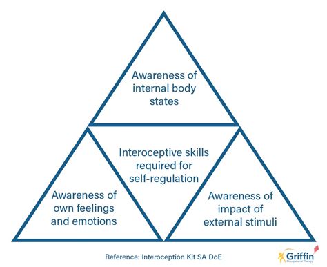 Interoception Explained Processing Internal Sensory Messages Griffinot