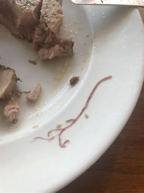 Parasite In My Tuna Steak It Has Multiple Endings So Maybe Just A Vein