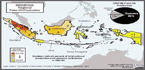 Regional Palm Oil Production In Indonesia Download Scientific Diagram