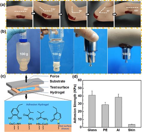 Adhesive Properties Of The Pda Pam Mg Hydrogel A Adhesion Effect