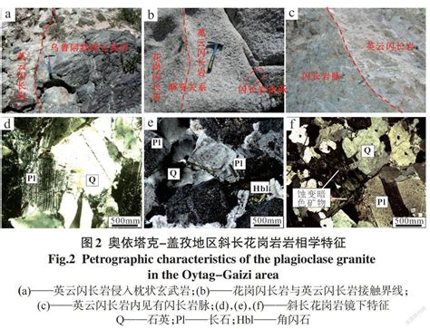 西昆仑北缘奥依塔克 盖孜地区斜长花岗岩LA ICP MS锆石U Pb年代学成因及构造环境 参考网