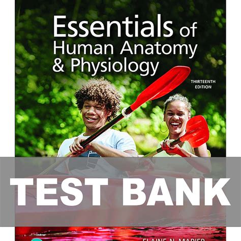 Essentials Of Human Anatomy And Physiology 13th Edition Marieb Test Bank