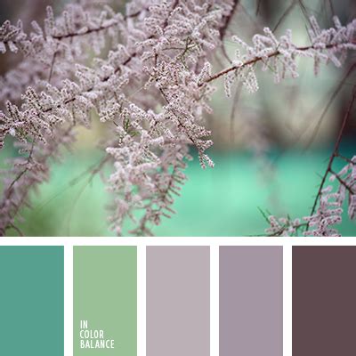 коричнево-розовый | IN COLOR BALANCE
