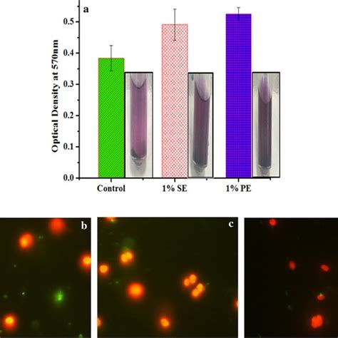 Microalgal Cell Viability Analysis Using Mtt Assay And Sytox Green