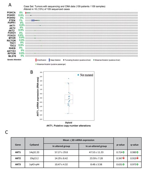 Gene Alterations In Akt Pathway In Human Non Metastatic Prostate Download Scientific Diagram