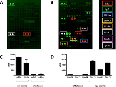 Two Color Antigen Microarrays Optimized For Use With Human Sera A