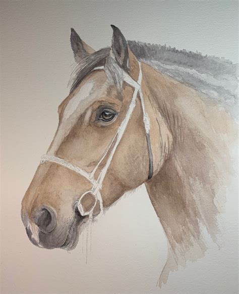 Horse Watercolor: From Start to Finish