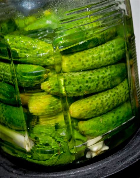 Country Beehive Gherkins In Brine Malosolne