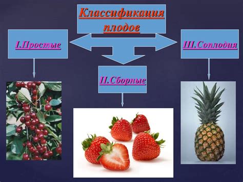 Плоды - презентация онлайн