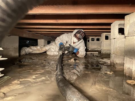 The Ultimate Guide to Crawl Space Cleaning: What You Need To Know