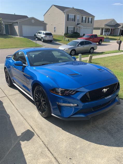 Fef Brand New 2019 Velocity Blue Gt Rmustang