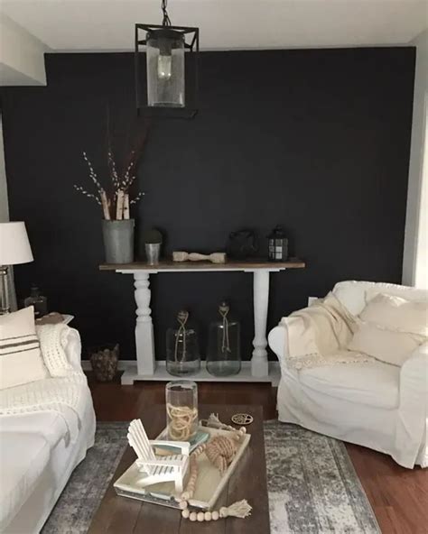 Benjamin Moore Onyx Paint Color