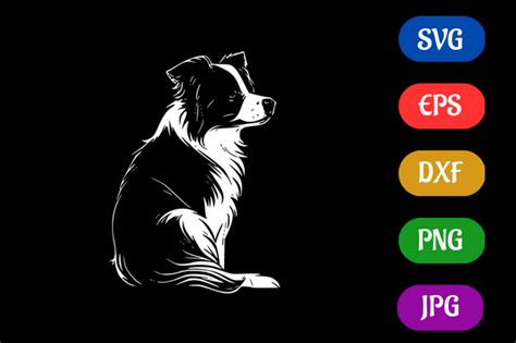 Border Collie Silhouette Svg Eps Dxf Graphic By Creative Oasis