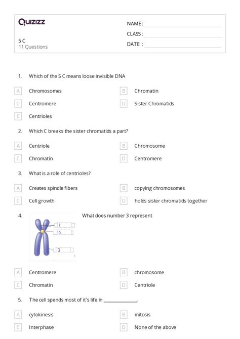 50 Chromosome Structure And Numbers Worksheets For 9th Grade On