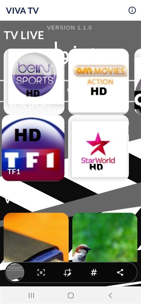 Vivotv Apk 3.7 - VIVA TV APK for Android Download