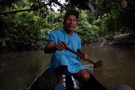 Planting the Future - Guiada