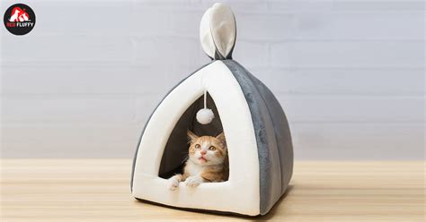 Luxury Cat Beds Are The Nicest Gift You Can Give Your Cat