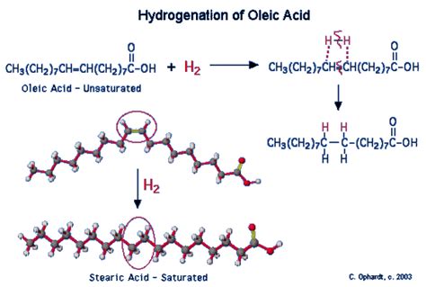 Hydrogenation of Unsaturated Fats and Trans Fat - Chemistry LibreTexts