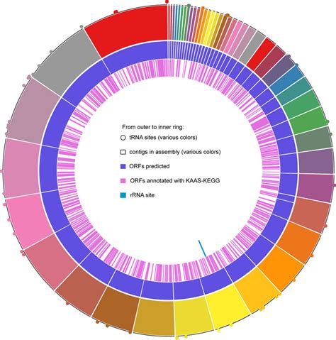 Metagenome Assembled Genome Mag Circos Plot Showing The Following