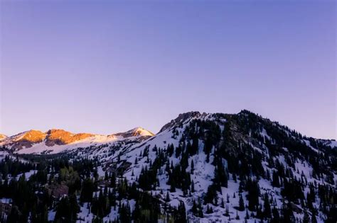 Snowbird Vs Alta Which Skiing Location Is Best Onto The Slopes