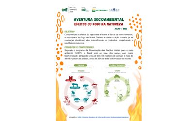 Aventura Socioambiental Efeitos Do Fogo Na Natureza Projeto