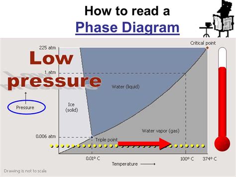 Exploring Phase Diagrams A Practical Worksheet Wiremystique