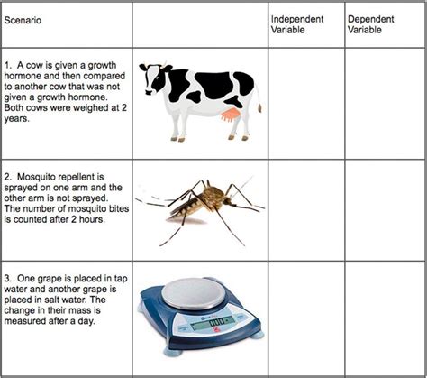 Independent Variable Vs Dependent Worksheet Live Worksheets