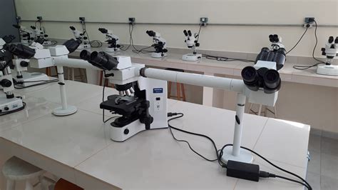 Núcleo Geral De Laboratórios Laboratório De Aulas Práticas De Parasitologia