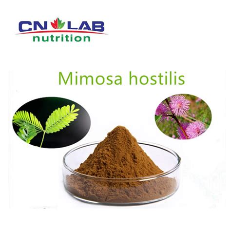 Mimosa Tenuiflora,Mimosa Bark Extract For Sale - Buy High Quality Mimosa Tenuiflora,Mimosa Bark ...