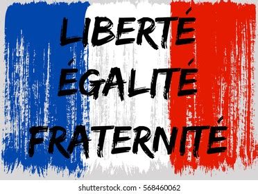 French Flag Paint Brush Strokes Freedom Vector De Stock Libre De